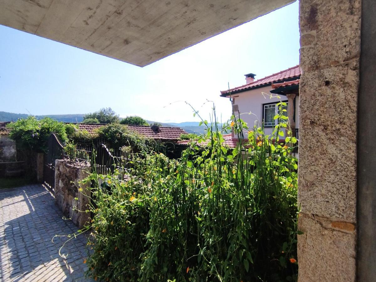 Box House Βίλα Paredes de Coura Εξωτερικό φωτογραφία